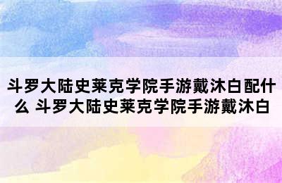 斗罗大陆史莱克学院手游戴沐白配什么 斗罗大陆史莱克学院手游戴沐白